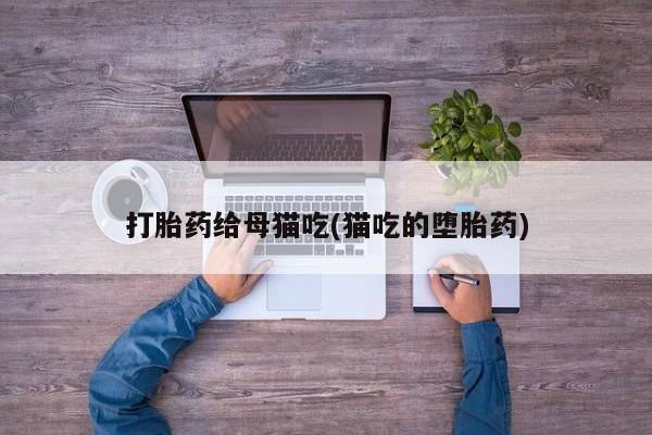 私人打胎药大月份胎停药打胎药给母猫吃(猫吃的堕胎药)