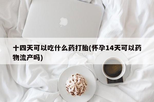 私人打胎药大月份胎停药十四天可以吃什么药打胎(怀孕14天可以药物流产吗)